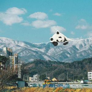 污污下载软件网站在线观看
