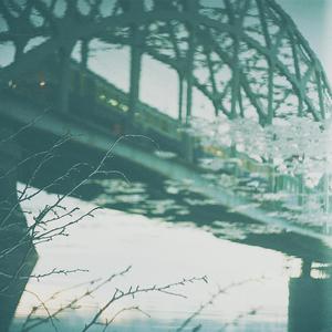 污污下载软件网站在线观看
